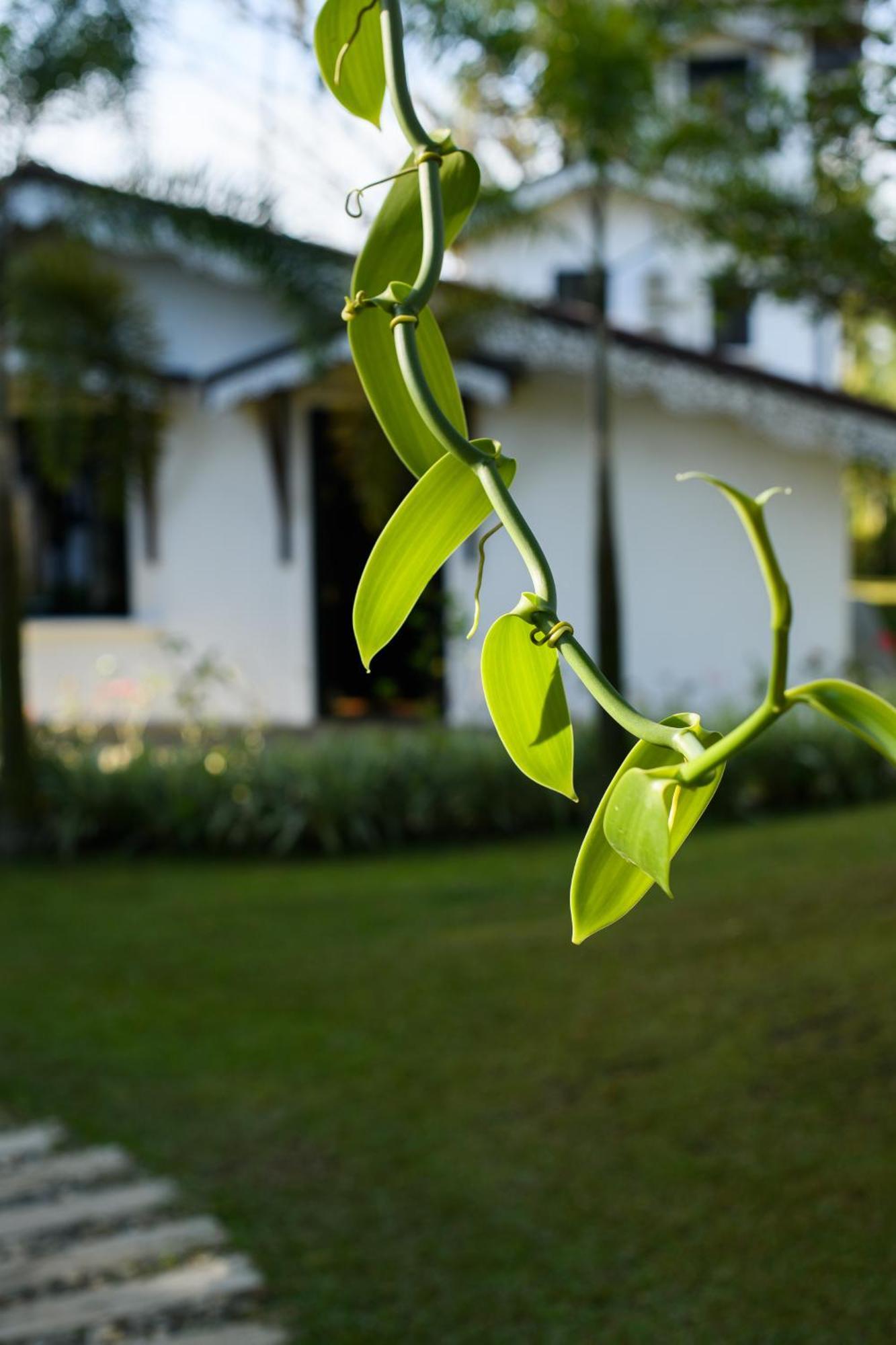 Roots Retreat Hotel อูนาวาตูนา ภายนอก รูปภาพ