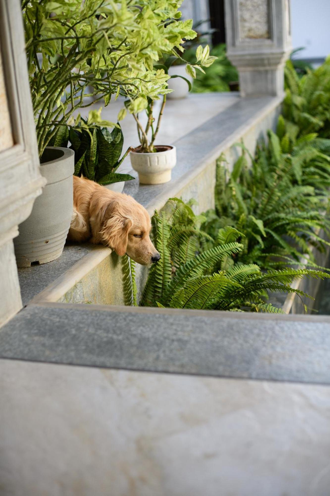 Roots Retreat Hotel อูนาวาตูนา ภายนอก รูปภาพ